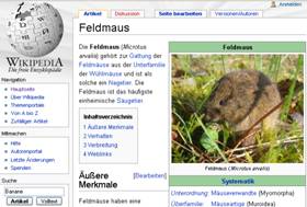 Screenshot Wikipedia