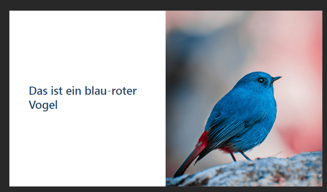Der blaurote Vogel ist auf der rechten Hälfte der Folie zu sehen, links der Titel "Das ist ein blau-roter Vogel"